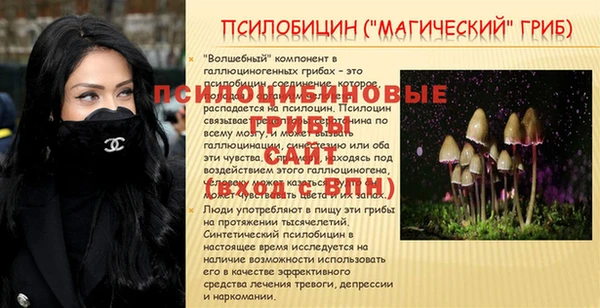 герыч Абинск