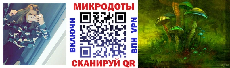 Псилоцибиновые грибы Magic Shrooms  как найти   Катайск 