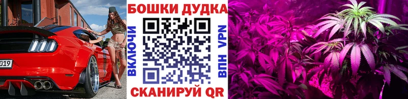 Бошки Шишки Bruce Banner  Катайск 